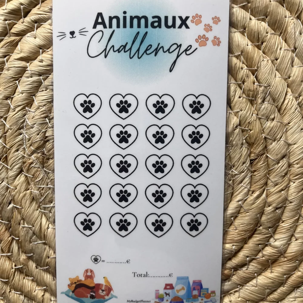 Challenge épargne